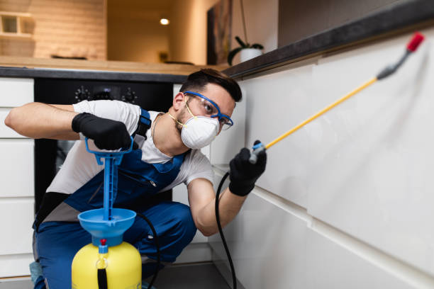 Best Residential Pest Control  in Sunrise Beach Village, TX