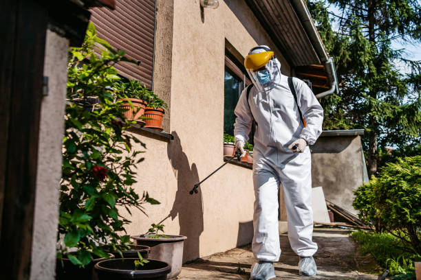 Best Best Pest Control Companies  in Sunrise Beach Village, TX
