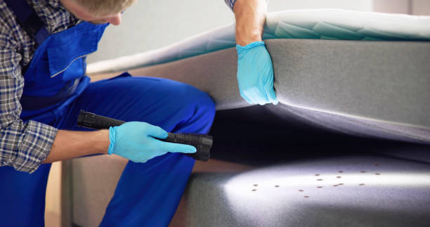 Best Flea Control Services  in Sunrise Beach Village, TX