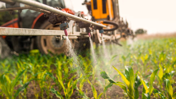 Best Mosquito Control Services  in Sunrise Beach Village, TX